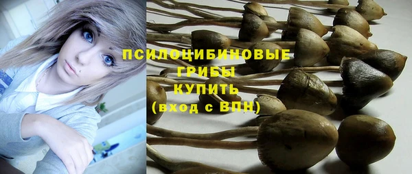 дурь Заволжск