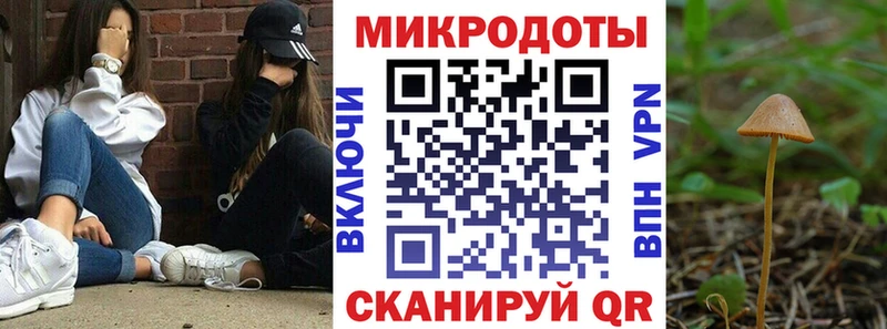 Галлюциногенные грибы Cubensis Мезень